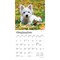 West Highland White Terrier Puppies | 2026 7 x 14 Inch (Hanging) Monthly Mini Wall Calendar